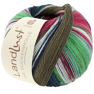Lana Grossa LANDLUST DIE SOCKENWOLLE 150g 6-Ply