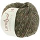 Lana Grossa LANDLUST WINTERWOLLE Tweed | 103-vert mousse chiné