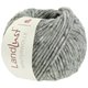 Lana Grossa LANDLUST WINTERWOLLE Tweed | 104-gris vert chiné