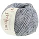 Lana Grossa LANDLUST WINTERWOLLE Tweed | 105-bleu clair chiné
