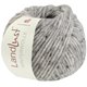 Lana Grossa LANDLUST WINTERWOLLE Tweed | 106-gris clair chiné