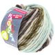 Lana Grossa LEI Mouliné/Color Mix/Spray (Ragazza) | 162-écru/brun gris/anthracite