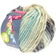 Lana Grossa LEI Mouliné/Color Mix/Spray (Ragazza) | 262-beige clair/écru/gris/menthe/terre d'ombre