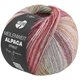 Lana Grossa MEILENWEIT 100g Alpaca Print | 2108-