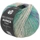 Lana Grossa MEILENWEIT 100g Alpaca Print | 2203-