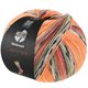 Lana Grossa MEILENWEIT 100g Cashmere Pista | 141-orange/gris clair/gris foncé/orange brun/vert clair/bruyère/mûre/brun gris rayé