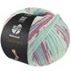 Lana Grossa MEILENWEIT 100g Cashmere Pista | 142-menthe/turquoise/blanc/gris/bleu clair/fuchsia rayé
