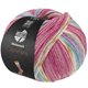Lana Grossa MEILENWEIT 100g Cashmere Pista | 146-fuchsia foncé/blanc/ocre/turquoise/bleu clair rayé