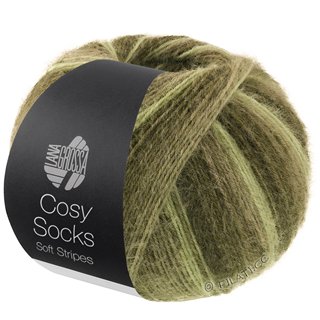 Lana Grossa MEILENWEIT 100g Cosy Socks Soft Stripes