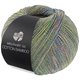 Lana Grossa MEILENWEIT 100g Cotton Bamboo Pepita | 2501-