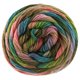 Lana Grossa MEILENWEIT 100g Fontana | 5456-chiné rouge/pétrole/vert mousse/lilas/feuille verte/brun argile/moka