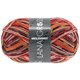 Lana Grossa MEILENWEIT 100g Print (couleurs abandonnées) | 3703 - Tirol-