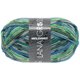 Lana Grossa MEILENWEIT 100g Print (couleurs abandonnées) | 3805 - Cortina-