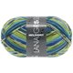 Lana Grossa MEILENWEIT 100g Print (couleurs abandonnées) | 5401 - Burlington-