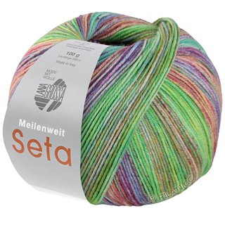 Lana Grossa MEILENWEIT 100g Seta Piano