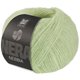 Lana Grossa NEBBIA (Nera) | 09-vert blanc
