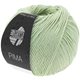 Lana Grossa PIMA | 42-vert clair