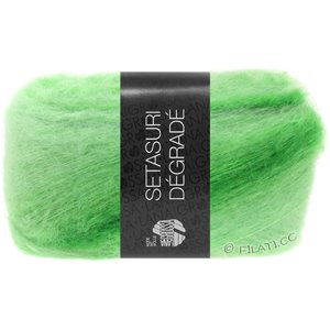 Lana Grossa SETASURI Dégradé | 103-vert tendre/vert clair/pomme verte