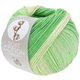 Lana Grossa SOFT COTTON Dégradé | 118-écru/vert tendre/jade