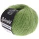 Lana Grossa SPLENDID | 09-vert clair/argent