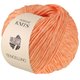 Lana Grossa TENCELLINO | 14-orange saumon
