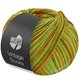 Lana Grossa VINTAGE SOCKS Multi | 1054-vert printanier/jade/moutarde/olive/ocre
