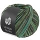 Lana Grossa VINTAGE SOCKS Multi | 1057-vert clair/vert mousse/gris vert/jade/vert noir/vert loden