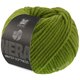 Lana Grossa WINTER SOFTNESS (Nera) | 27-vert