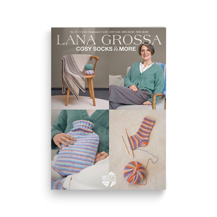 Cosy Socks & More Booklet - Édition allemande de Lana Grossa