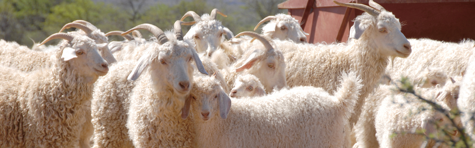 HAUTE QUALITÉ ET MOTIF TRICOT CRÉATIF Paquets de modèles<br>