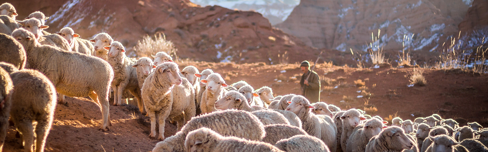 HAUTE QUALITÉ ET MOTIF TRICOT CRÉATIF Paquets de modèles<br>